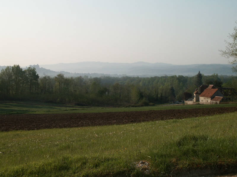 fields with view from a castle in the background