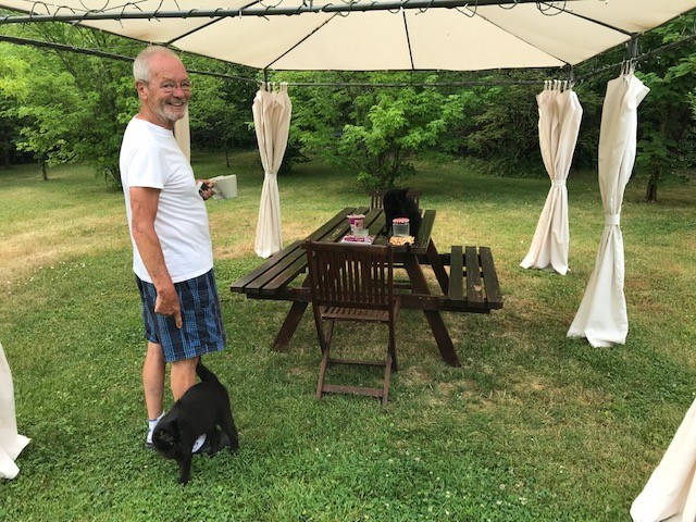 standing man under a gazebo and 2 cats